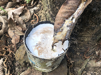 環氧樹脂非硅消泡劑